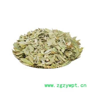 【满298元包邮】番泻叶 番泻叶统货 产地 广西  1公斤1袋图2