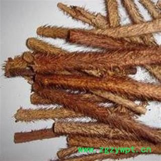 红毛五加皮 红毛刺五加 正品保证质量7天无理由退货退款 安品堂图4