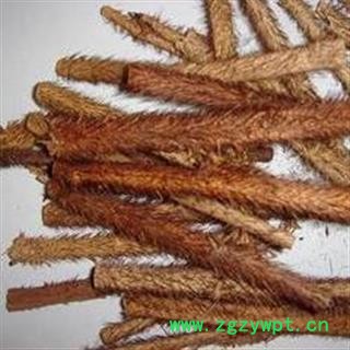 红毛五加皮 红毛刺五加 正品保证质量7天无理由退货退款 安品堂图2