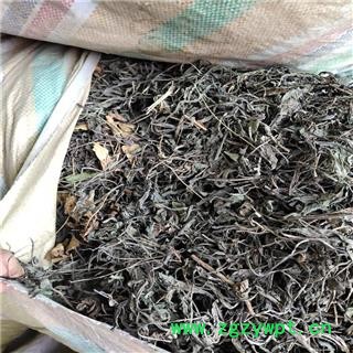 大青叶碎渣个图2