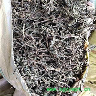 大青叶碎渣个图3