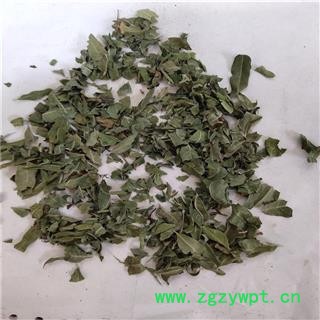 罗布麻叶 统图3