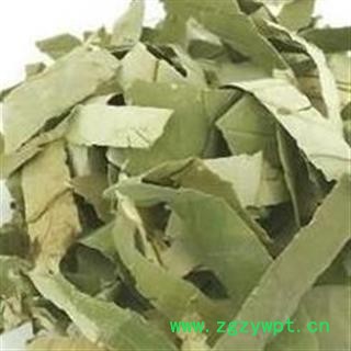 荷叶 精品荷叶丝 颜色新鲜 青色 今年新货 低价促销 产地 山东省图2