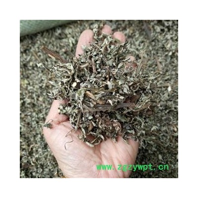 广西壮乡中草药 野生 全株 艾草 艾叶（带杆） 小叶艾叶 统货 产地 广西柳州