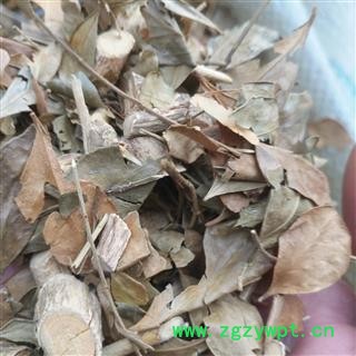 新辉药业茵芋  茵芋叶 卑山共  莞草卑图2