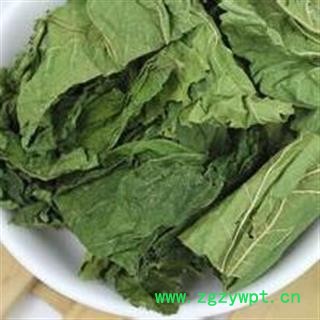 桑叶 统 产地 山东省 华美中药 产地直销 重在品质图3