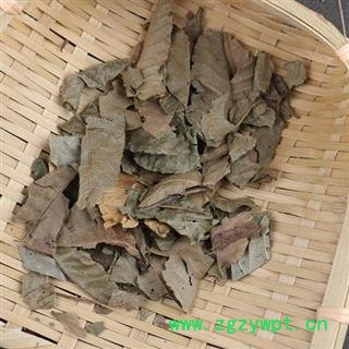 青钱柳叶 金钱柳叶正品保证质量 中药材批发 丽丽药业图2