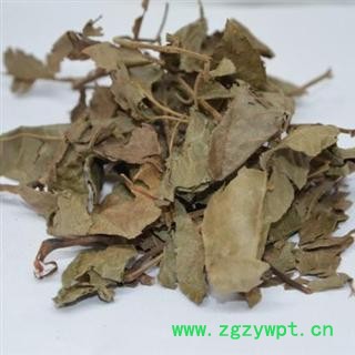 青钱柳叶 金钱柳叶正品保证质量 中药材批发 丽丽药业图4