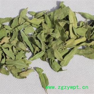 罗布麻叶 正品保证质量7天无理由退货退款 安品堂图4