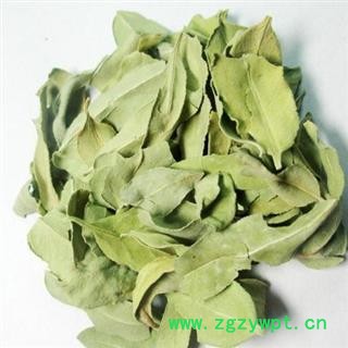 罗布麻叶 正品保证质量7天无理由退货退款 安品堂图2