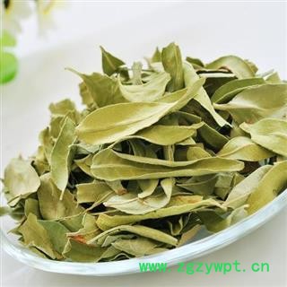 罗布麻叶 正品保证质量7天无理由退货退款 安品堂图3