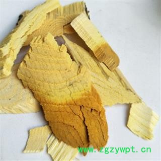 新辉药业中药材苦木 苦皮树 苦树皮 苦皮子 苦胆木图2