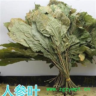 人参叶 正品保证质量7天无理由退货退款 安品堂图3