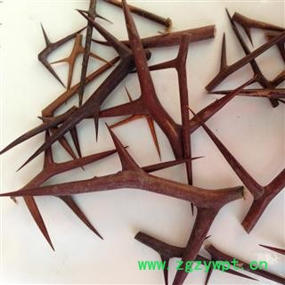 新辉药业正品皂角刺 皂刺图2