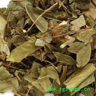 葫芦茶 牛虫草 咸鱼草 百劳舌 正品保证质量7天无理由退货退款 安品堂图3