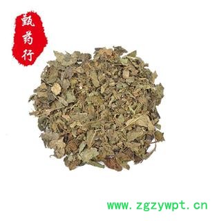 桑叶 青桑叶统货 产地 安徽省 1公斤装图3