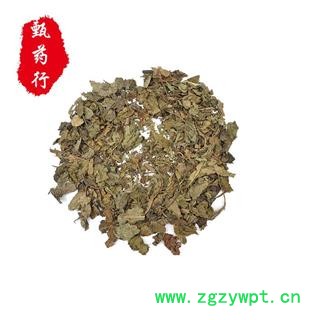 桑叶 青桑叶统货 产地 安徽省 1公斤装图2