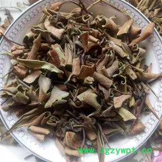 石韦 统 产地 云南省 产地直销 重在质量图2