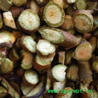 槲寄生  寄生 选 产地 辽宁省 华美中药 产地直销 重在品质图3