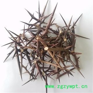 皂角刺统货正品保证质量 中药材批发 丽丽药业图4