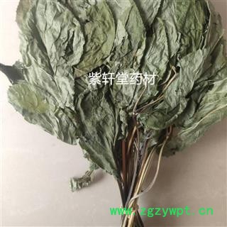 人参叶 人参叶 颜色好  自然晒干 产地 吉林省图2