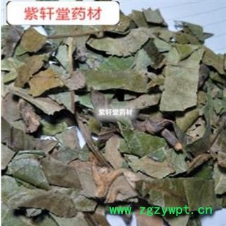 枇杷叶 巴叶 枇杷叶绿色统货 产地 福建省图2