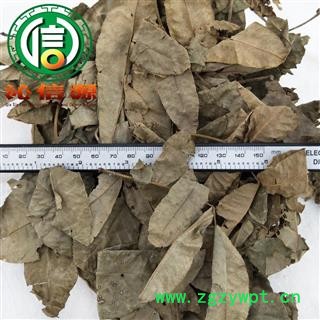 【满包邮】青钱柳叶统货散装江苏产地直供摇钱树 麻柳 青钱李 山麻柳 山化树沁信源中药批发图2