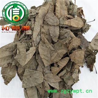 【满包邮】青钱柳叶统货散装江苏产地直供摇钱树 麻柳 青钱李 山麻柳 山化树沁信源中药批发图4