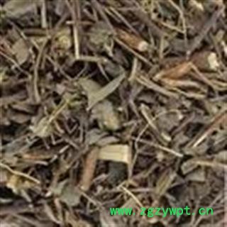 一叶萩 一叶秋 别明小粒蒿、横子、粉条、老鼠牙、马扫帚牙、小孩拳、叶下珠、狗舌条、八颗叶下珠、山帚条条、狗杏条、花帚条图3