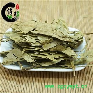 橘叶橘树叶桔叶橘子叶金桔叶无硫新货专注品质，诚信信邦！图3