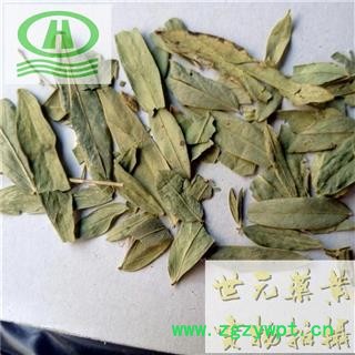 世元药业 番泻叶 泄叶 旃那叶 竹叶图2
