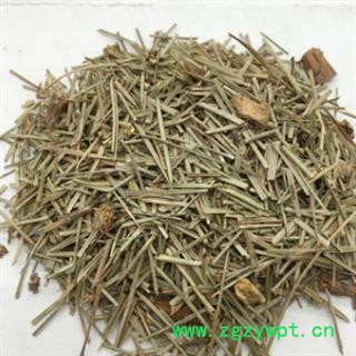 新辉药业中药材松针  马尾松针图2