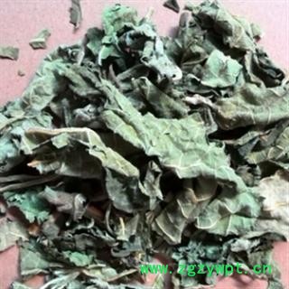 新辉药业无花果叶 另有无花果图2