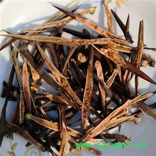 野生皂角刺 片 产地 河南省平顶山市汝州市图2