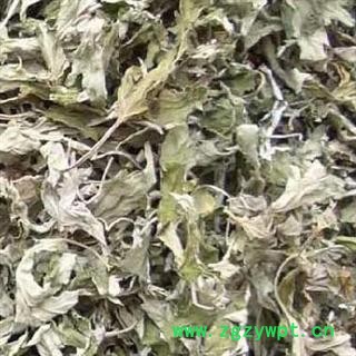 艾叶 统 产地 山东省 国药堂 专注品质图2