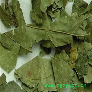 布渣叶 正品保证质量7天无理由退货退款 安品堂图4