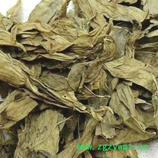 龙脷叶 龙利叶 牛耳叶 龙舌叶 正品保证质量 安品堂图3