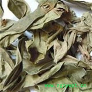 龙脷叶 龙利叶 牛耳叶 龙舌叶 正品保证质量 安品堂图4