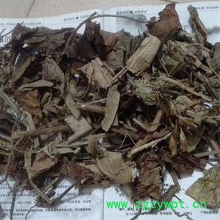 猪笼草 水罐植物 猴水瓶 雷公壶 正品保证质量 安品堂图3