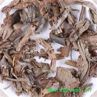 猪笼草 水罐植物 猴水瓶 雷公壶 正品保证质量 安品堂图2