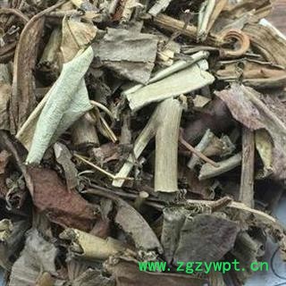 猪笼草 水罐植物 猴水瓶 雷公壶 正品保证质量 安品堂图4