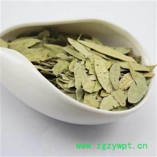 番泻叶 干净无杂质正品保证质量7天无理由退货退款 中药材批发 丽丽药业图2