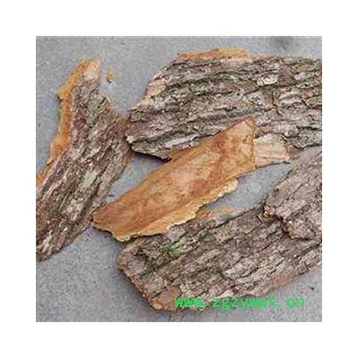 【满包邮】樟树皮 统 1000g 产地 四川省