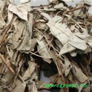 新辉药业优质卡其花 卡琪花蒂玛图2