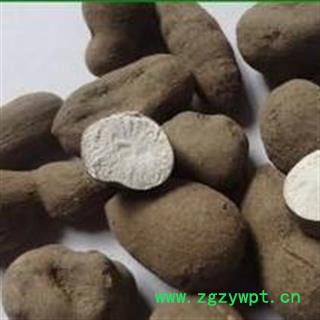 三叶青个子 净500克 金丝吊葫芦 统货正品保证质量7天无理由退货退款 安品堂图4