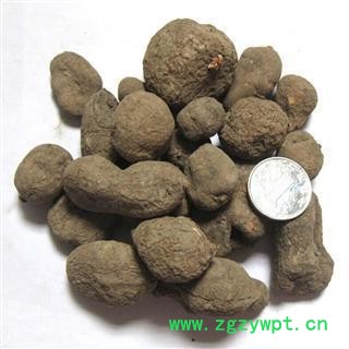 三叶青个子 金丝吊葫芦 统货 正品保证质量7天无理由退货退款 安品堂图4