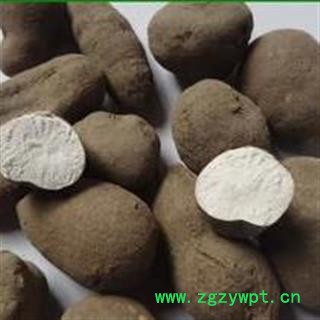 三叶青个子 金丝吊葫芦 统货 正品保证质量7天无理由退货退款 安品堂图2