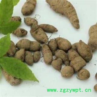 三叶青个子 金丝吊葫芦 统货 正品保证质量7天无理由退货退款 安品堂图3