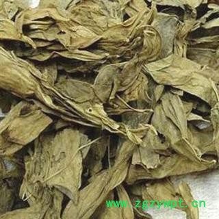 龙脷叶 龙利叶 龙舌叶 牛耳叶 龙珠叶 正品保证质量 安品堂图3