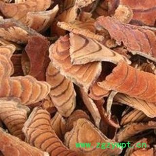 鸡血藤 正品 好统货 国药堂 专注品质  产地 广西壮族自治区图2